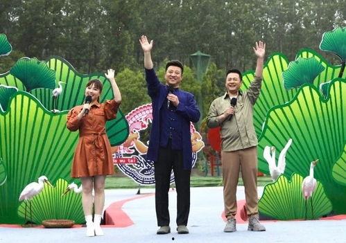 少年弥彦最新爆料视频,少年视角下的娱乐圈风云